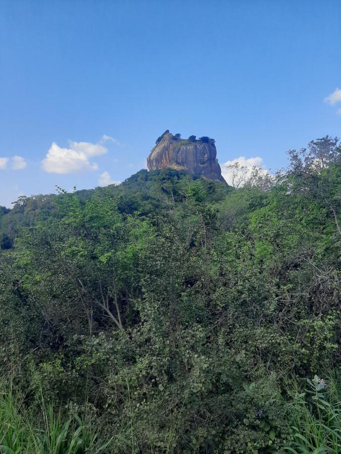 Hotel Chanara Sigiriya Exterior photo